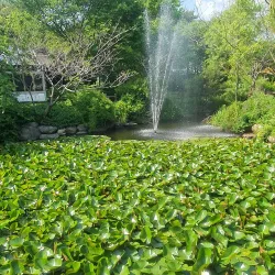 Ansan Reed Marsh Park - Ansan