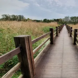 Ansan Reed Marsh Park - Ansan