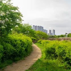 Ansan Reed Marsh Park - Ansan