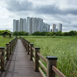Ansan Reed Marsh Park - Ansan