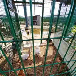 Ansan Reed Marsh Park - Ansan