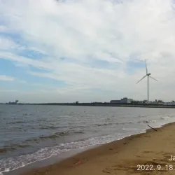 Daebu Island - Ansan