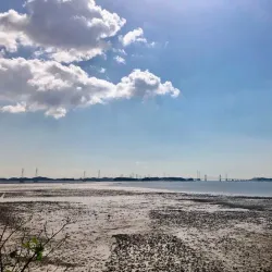 Daebu Island - Ansan