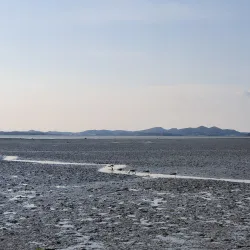 Daebu Island - Ansan