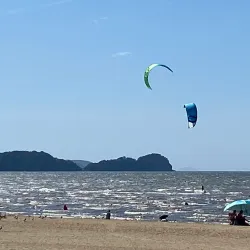 Daebu Island - Ansan