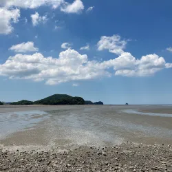 Daebu Island - Ansan