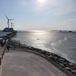 Daebu Island - Ansan