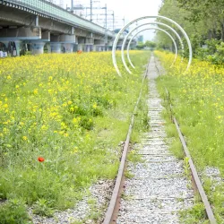 Gojan Station Underground Shopping Center - Ansan