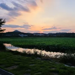 Hwarang Park - Ansan