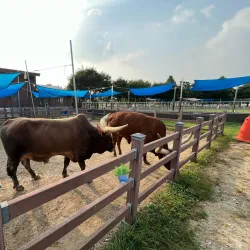 Anseong Farmland - Anseong-si