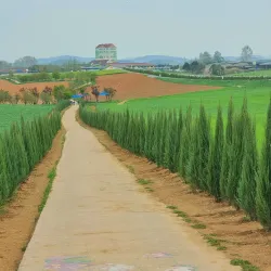 Anseong Farmland - Anseong-si