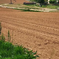 Anseong Farmland - Anseong-si