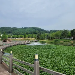 Anseong Folk Museum - Anseong-si