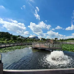 Anseong Lake Park - Anseong-si