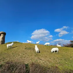 Anseong Namsadang Training Center - Anseong-si