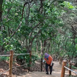 Gwanpyeong Mountain Hiking Trail - Anseong-si