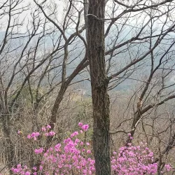 Gwanpyeong Mountain Hiking Trail - Anseong-si