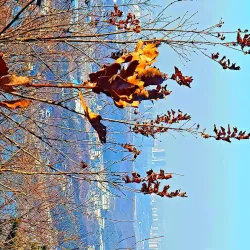 Gwanpyeong Mountain Hiking Trail - Anseong-si