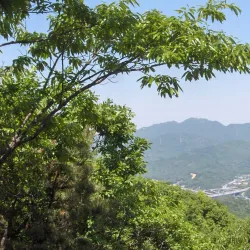 A vibrant street view in Anyang