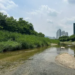 Anyangcheon Stream - Anyang