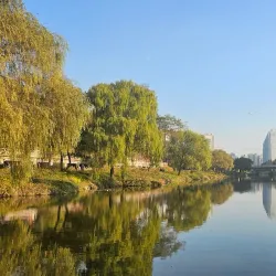 Anyangcheon Stream - Anyang
