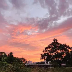 Anyangcheon Stream - Anyang
