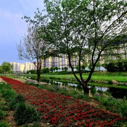 Anyangcheon Stream - Anyang