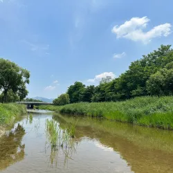 Anyangcheon Stream - Anyang