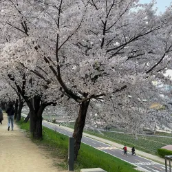 Anyangcheon Stream - Anyang