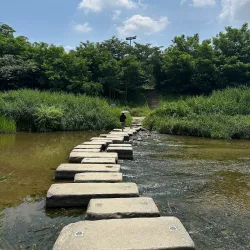 Anyangcheon Stream - Anyang