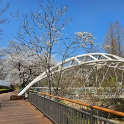 Bangjaesan Sculpture Park - Anyang