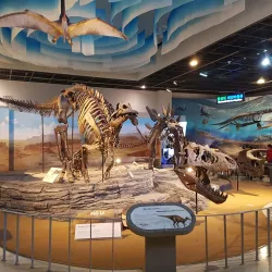 Gwacheon National Science Museum (nearby) - Anyang