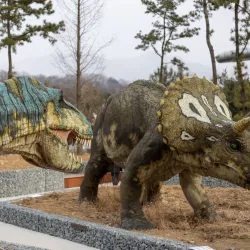 Gwacheon National Science Museum (nearby) - Anyang