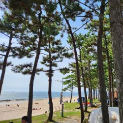 Boryeong Marine Mud Expo Site - Boryeong