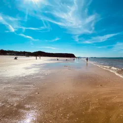 Boryeong Marine Mud Expo Site - Boryeong