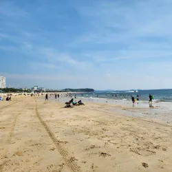 Boryeong Mud Festival - Boryeong