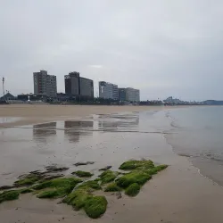 Boryeong Mud Festival - Boryeong