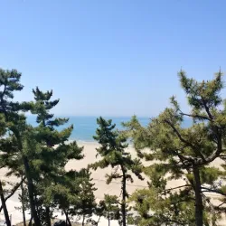 Boryeong Mud Museum - Boryeong