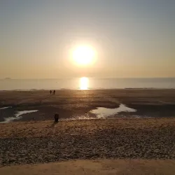 Boryeong Mud Museum - Boryeong