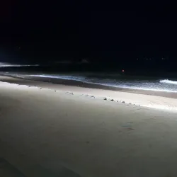 Cheongpodae Beach - Boryeong