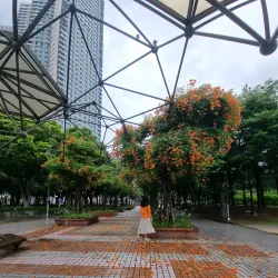 Bucheon Central Park - Bucheon