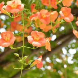 Bucheon Central Park - Bucheon