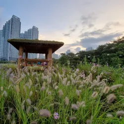 Bucheon Central Park - Bucheon