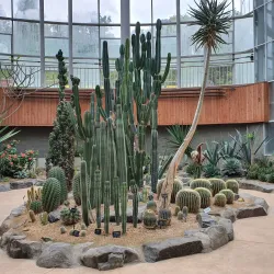 Sosa Ecological Park - Bucheon