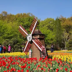 Sosa Ecological Park - Bucheon