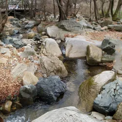 Beomeosa Temple - Busan