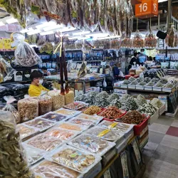 Jagalchi Fish Market - Busan