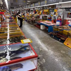 Jagalchi Fish Market - Busan