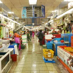 Jagalchi Fish Market - Busan