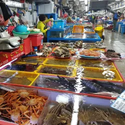 Jagalchi Fish Market - Busan